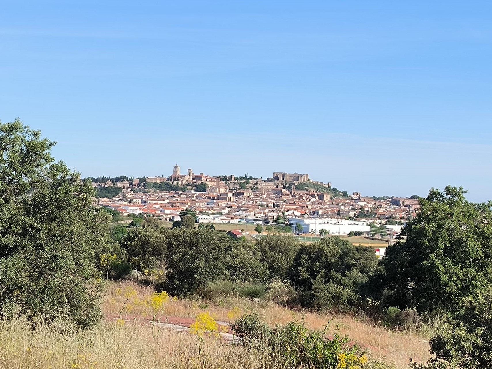Día del Centro IES Turgalium 2024 – 2025